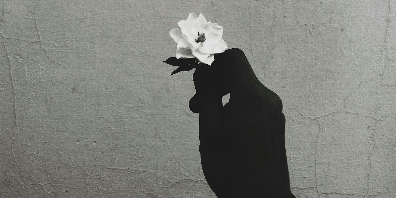 A hand in shadow holds a single white flower against a textured grey wall, the lead image for an article on forgiveness and flourishing