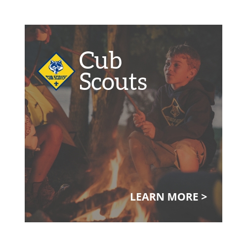 Cub Scouting