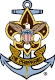 Sea Scouts