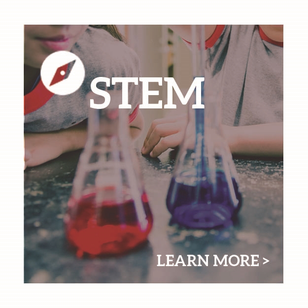 STEM
